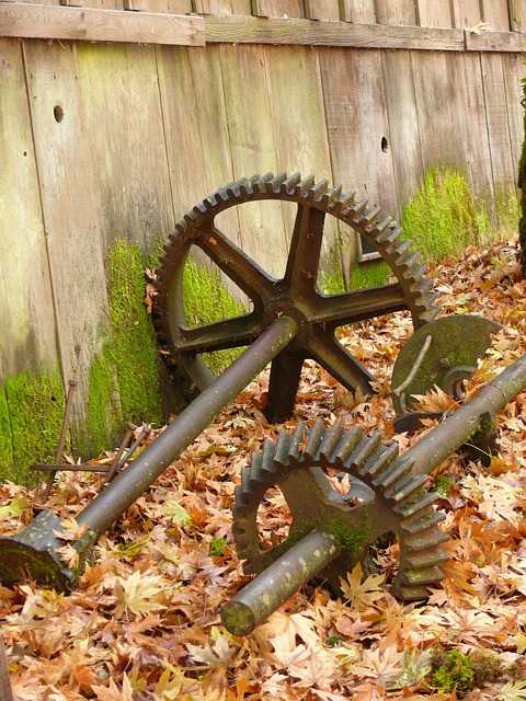Free Cogs Cogwheels photo and picture
