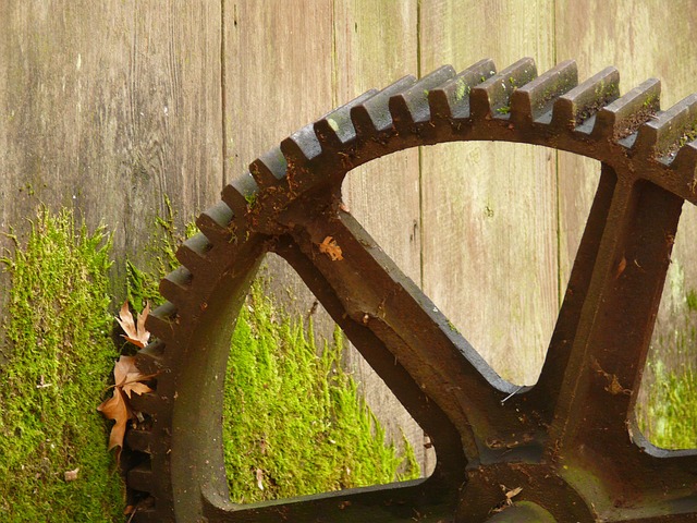Free Cog Cog Wheel photo and picture