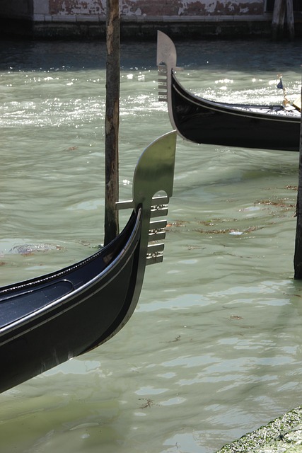 Free Venice Gondola photo and picture