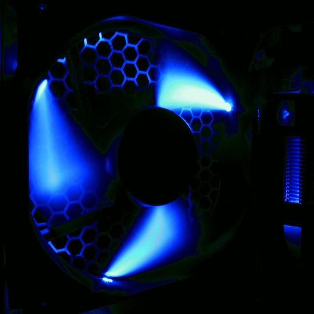 Free Fan Case Fan photo and picture