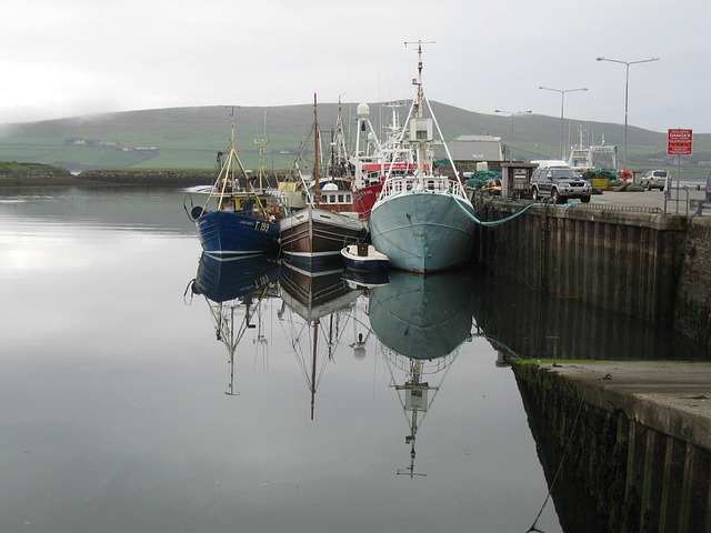 Både, Dingle, Irland, Kerry, Vand, Hav