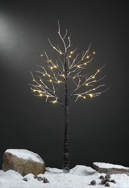 Free Led Lights Snow Tree photo and picture