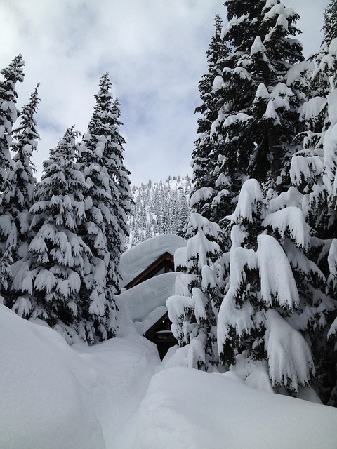 Free Snow Mountains photo and picture