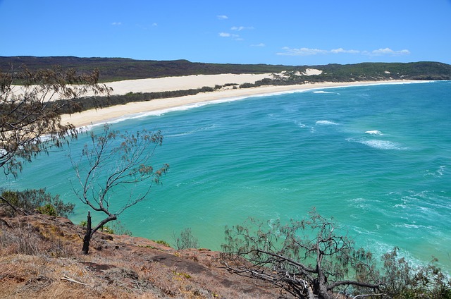 Free Bay Sand Dunes photo and picture