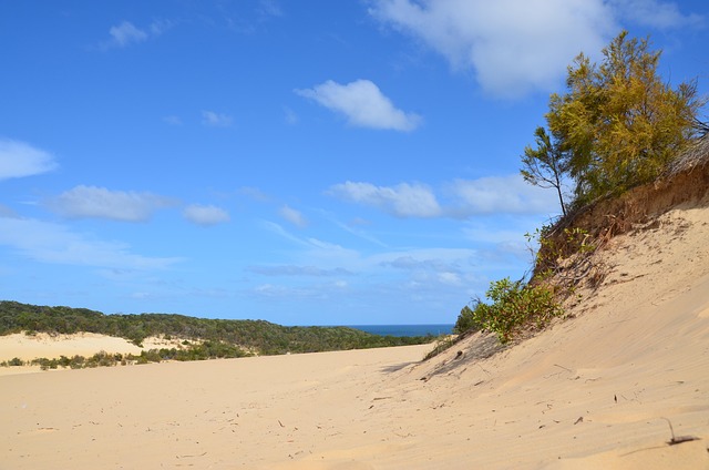 Free Sand Dunes Beach photo and picture