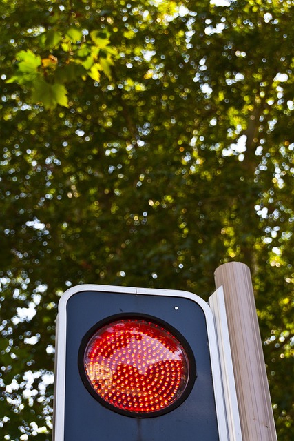 Free Red Light Traffic photo and picture