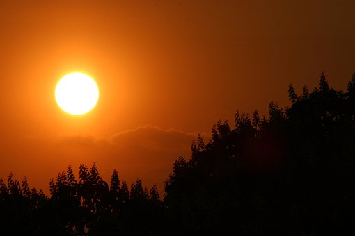 Solnedgang, Kastanje, Natur, Høst