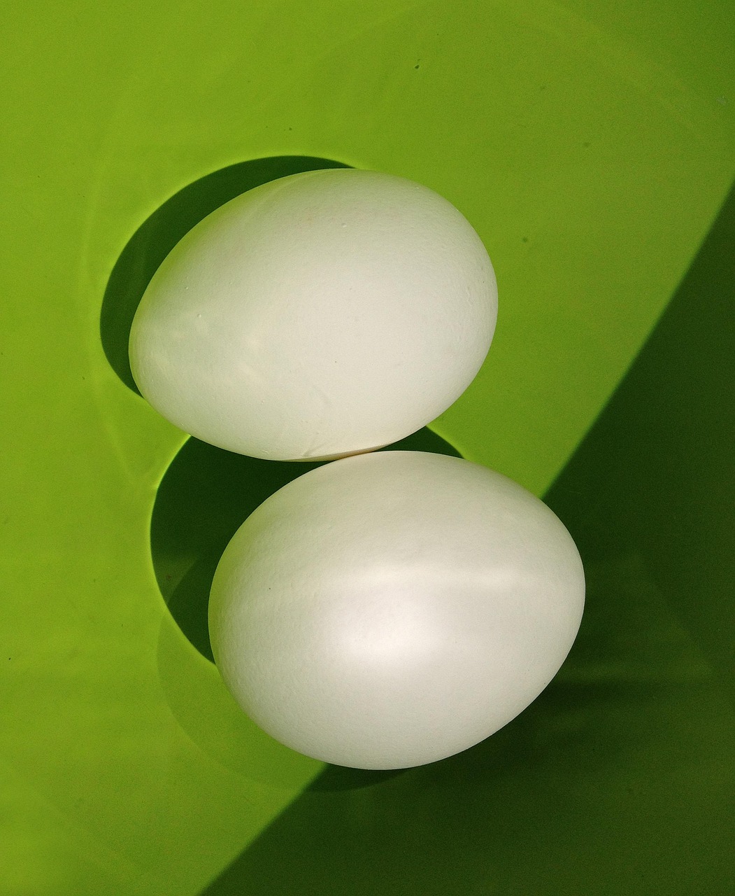 Egg Bowl Water - Free photo on Pixabay - Pixabay