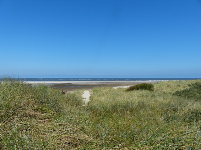 Free Longoog Ostfriesland photo and picture