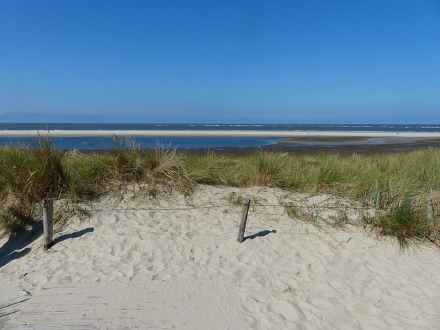 Free Walk On The Beach Sand photo and picture