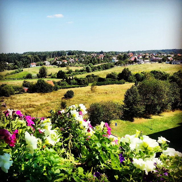 Natur, Ansicht, Blumen, Sommer, Pflanzen
