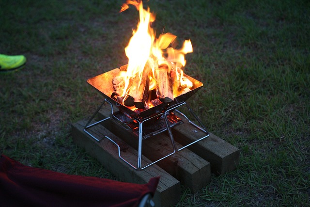 Free Fire Bonfire photo and picture