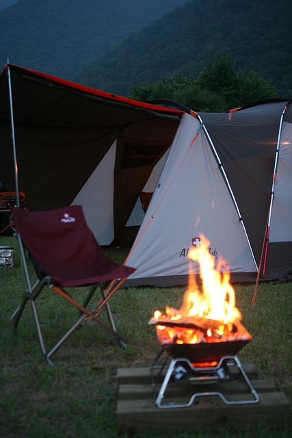 Free Fire Bonfire photo and picture