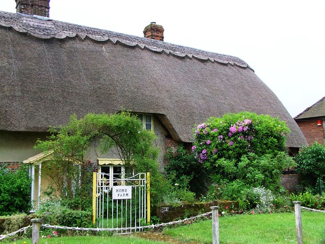 Free House Thatch Roof photo and picture