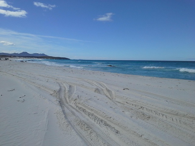 Free Beach Beach Sand photo and picture