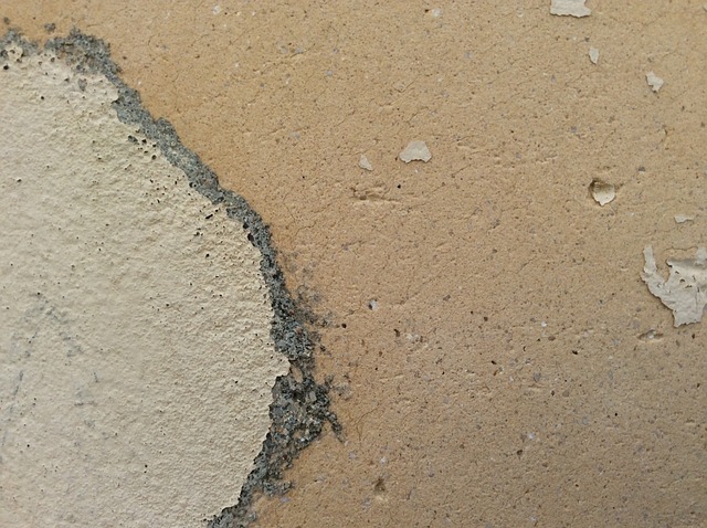 Free Old Wall Wall photo and picture