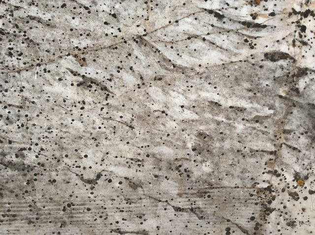 Free Rock Texture photo and picture