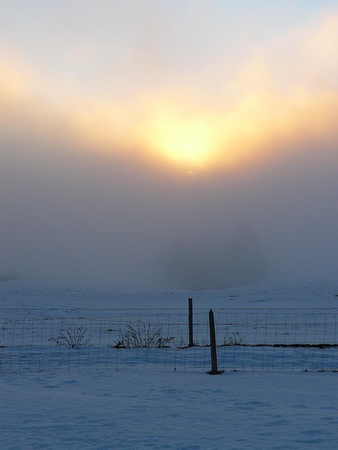 Free Winter Mood Sun photo and picture