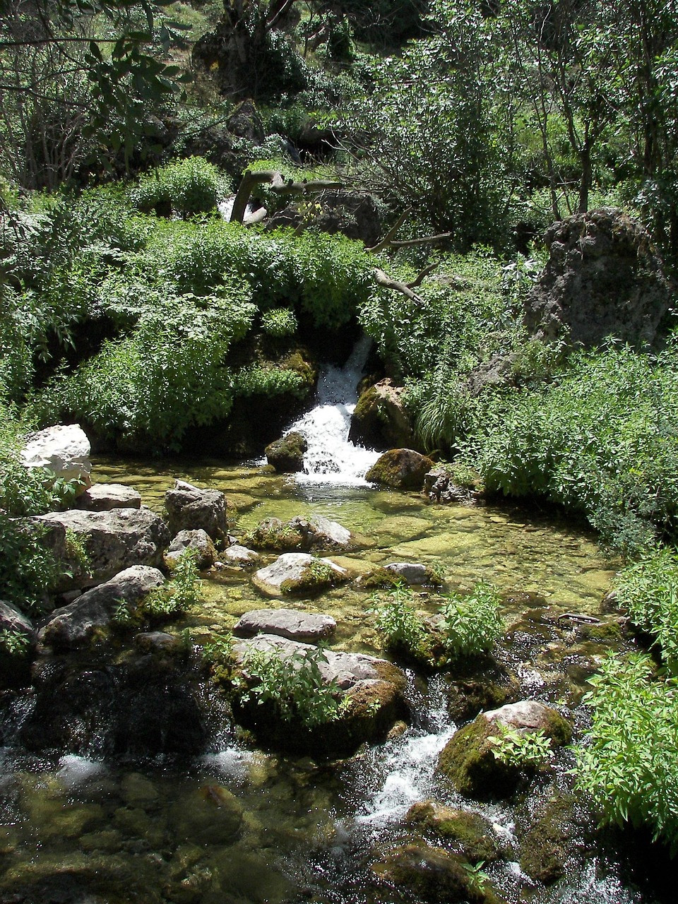 Agua Río Naturaleza - Foto gratis en Pixabay - Pixabay