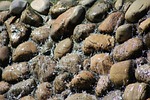 water, nature, stone