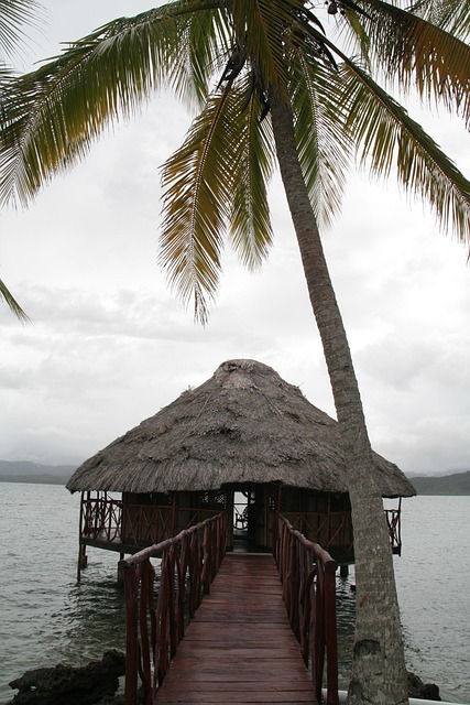 Free Island Cabin photo and picture