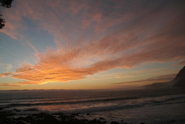 Free Darling Sea photo and picture