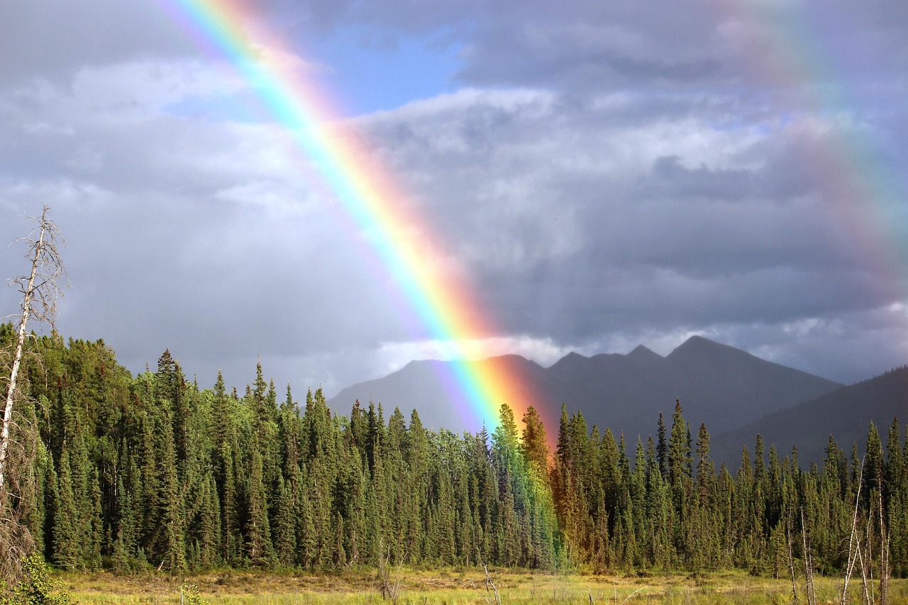 Plus De 200 000 Images De Arc En Ciel Et De Arc En Ciel Pixabay