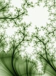 abstract, fractal, line