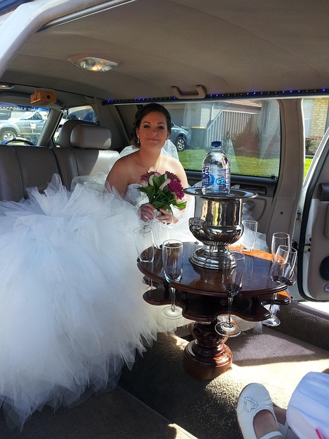 Free Wedding Bride photo and picture