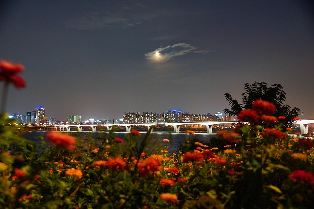 Free Han River Night View photo and picture