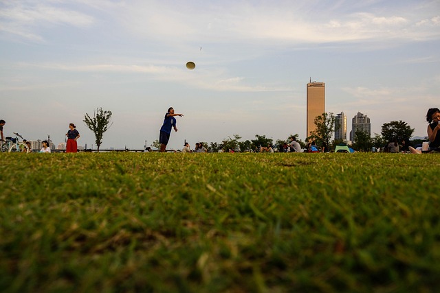 Free Han River Play photo and picture