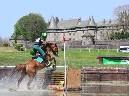 Free Horse Riding Horse photo and picture