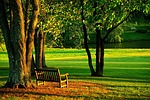 meadowlark, park, bench