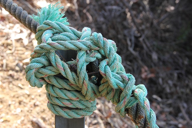 Free Node Rope photo and picture