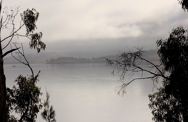Free Fog Coast photo and picture
