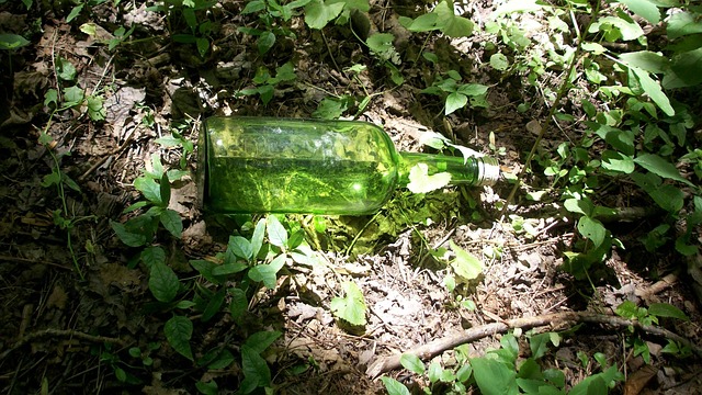 Free Bottle Glass photo and picture