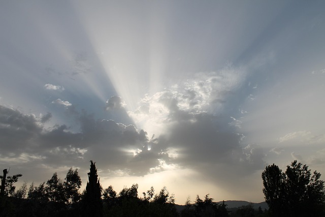 Free Dawn Landscapes photo and picture