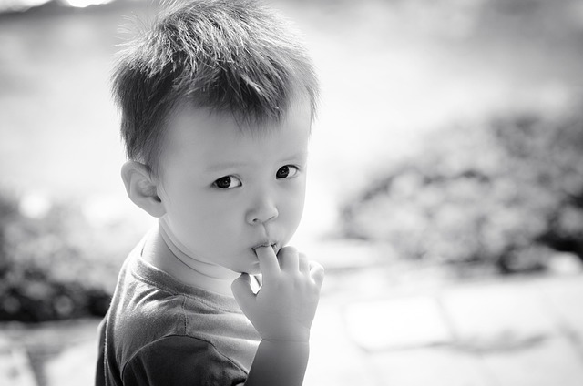 Free Boy Kid photo and picture