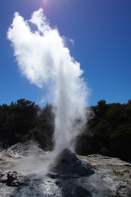 Free Rotorua Geyser photo and picture