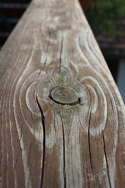 Free Wood Angel photo and picture