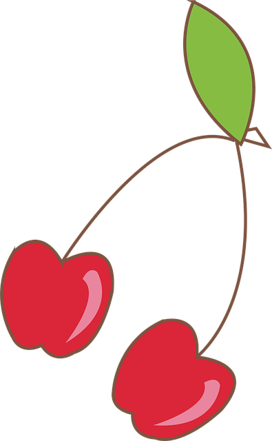 Download free HD stock image of Cherry Fruit Free cherry fruit food vector