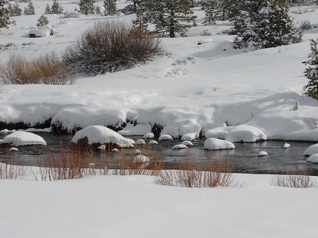 Free River Snow photo and picture
