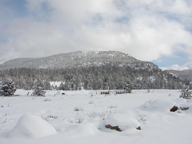 Free Mountain Snow photo and picture