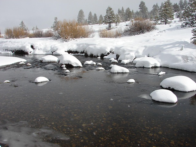 Free River Snow photo and picture