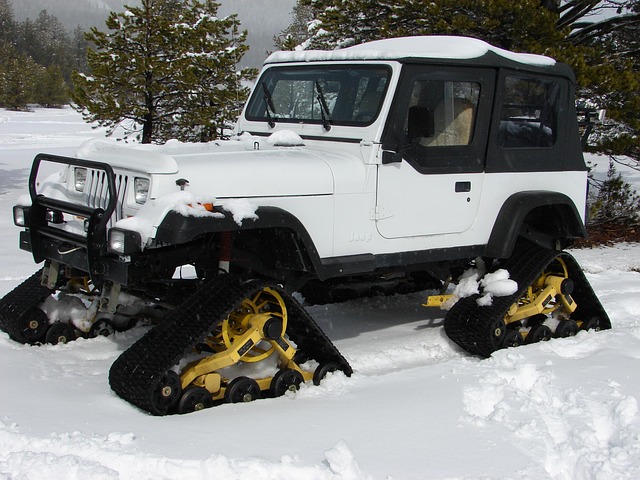 Snow Cat Snowtracks · Free photo on Pixabay