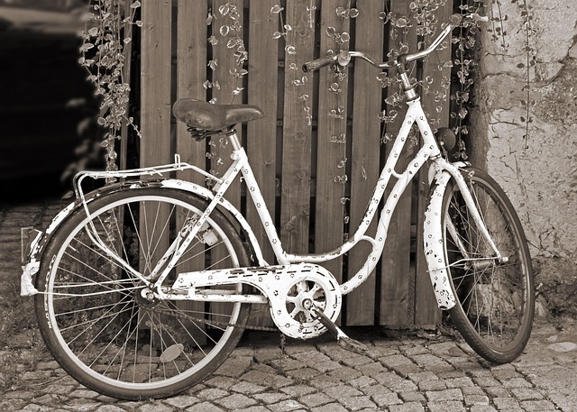 Free Bicycle Ladies Bike photo and picture
