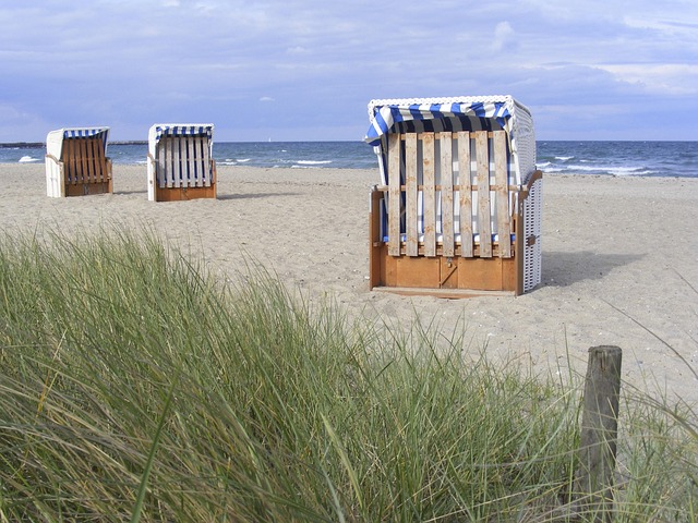 Free Beach Chairs Beach photo and picture