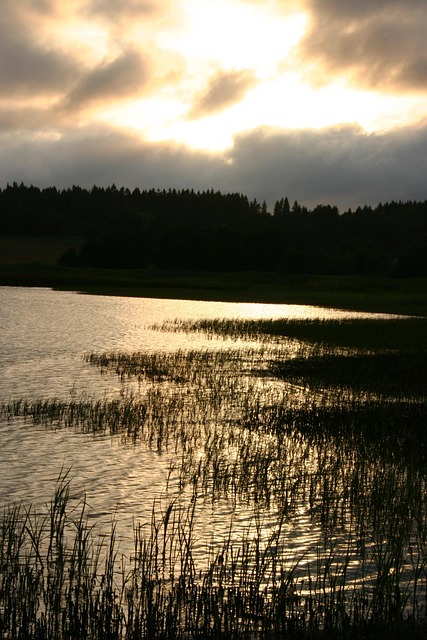 Free Summer Sunset photo and picture