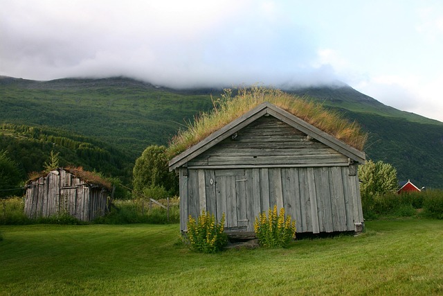 Free Summer Farm photo and picture