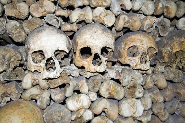 Free Skulls Leg photo and picture